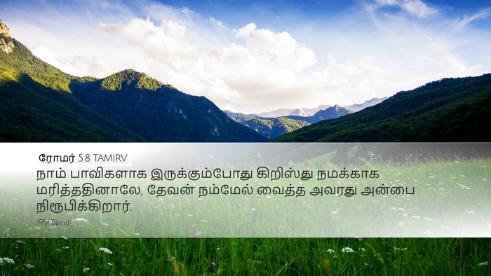 ரோமர் 5:8 TAMIRV Bible Verse Image