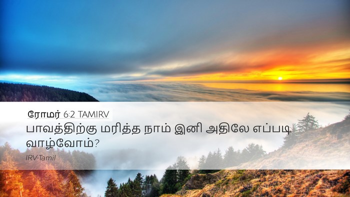 ரோமர் 6:2 TAMIRV Bible Verse Image
