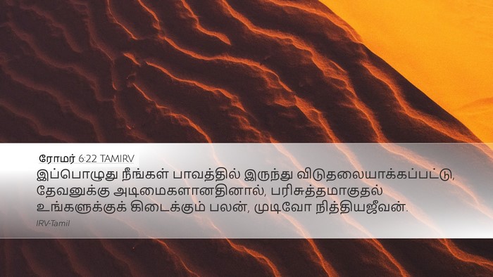 ரோமர் 6:22 TAMIRV Bible Verse Image