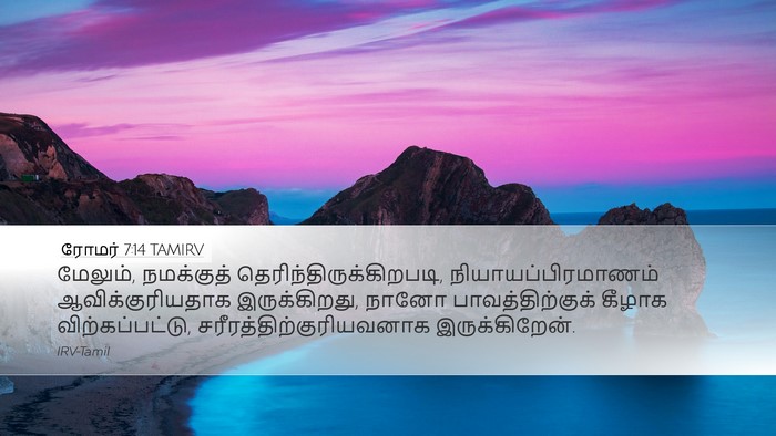ரோமர் 7:14 TAMIRV Bible Verse Image