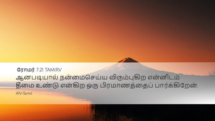 ரோமர் 7:21 TAMIRV Bible Verse Image