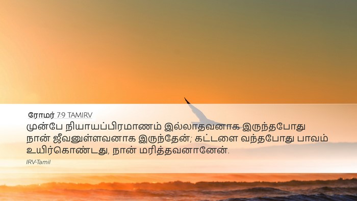 ரோமர் 7:9 TAMIRV Bible Verse Image