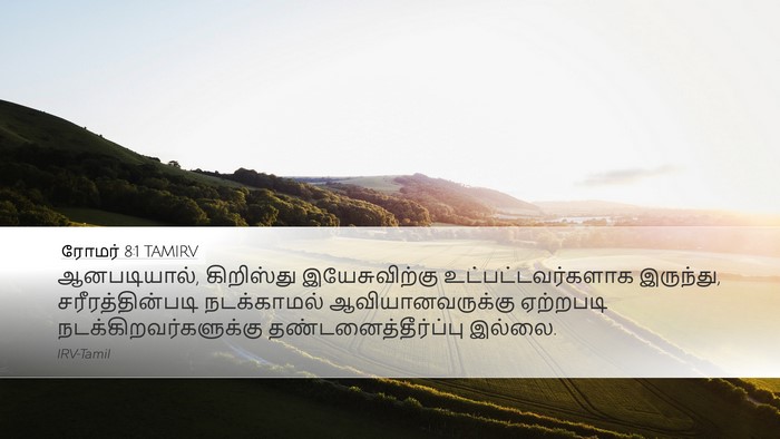 ரோமர் 8:1 TAMIRV Bible Verse Image
