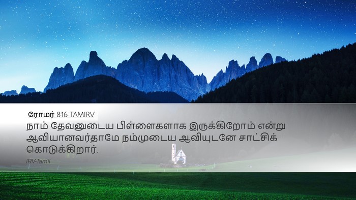 ரோமர் 8:16 TAMIRV Bible Verse Image