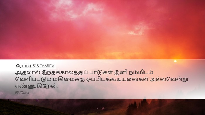 ரோமர் 8:18 TAMIRV Bible Verse Image