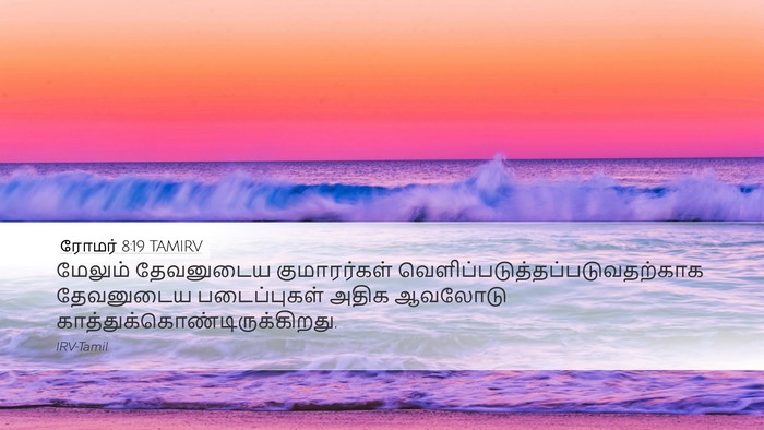 ரோமர் 8:19 TAMIRV Bible Verse Image