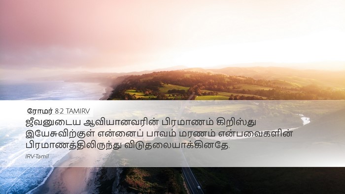 ரோமர் 8:2 TAMIRV Bible Verse Image