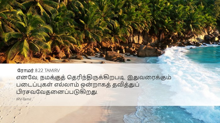 ரோமர் 8:22 TAMIRV Bible Verse Image
