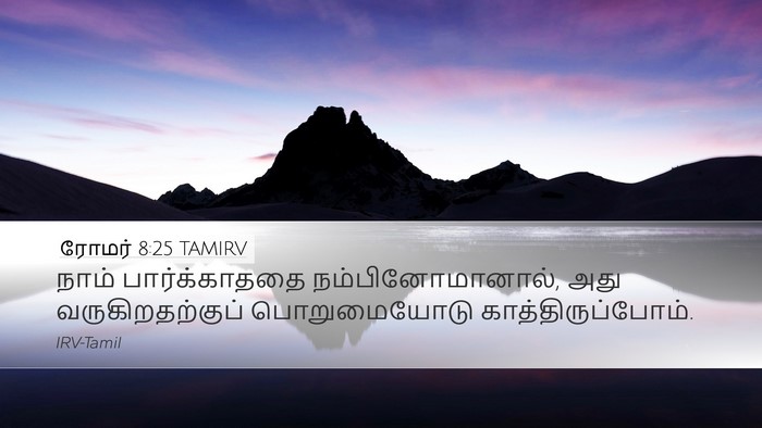 ரோமர் 8:25 TAMIRV Bible Verse Image