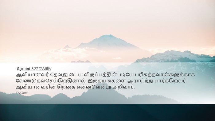 ரோமர் 8:27 TAMIRV Bible Verse Image