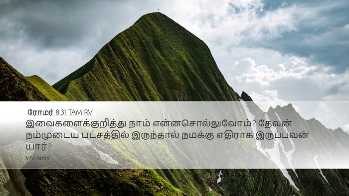 ரோமர் 8:31 TAMIRV Bible Verse Image