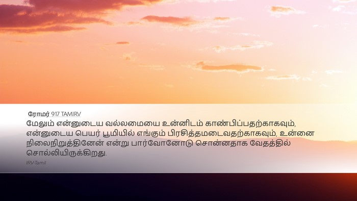 ரோமர் 9:17 TAMIRV Bible Verse Image