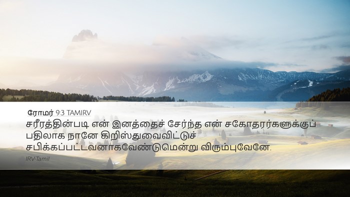 ரோமர் 9:3 TAMIRV Bible Verse Image