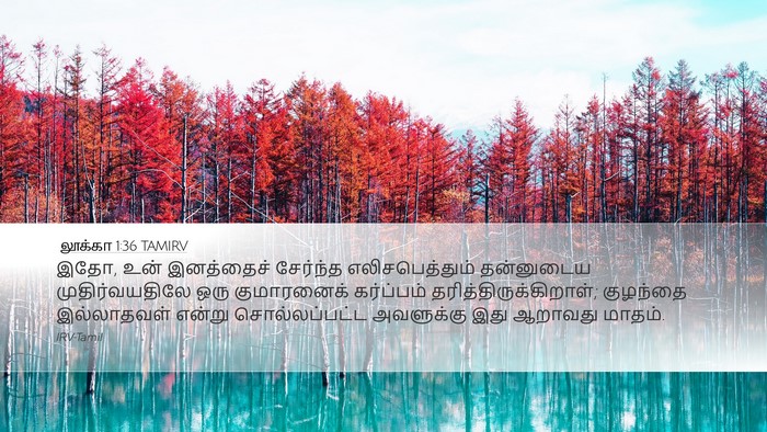 லூக்கா 1:36 TAMIRV Bible Verse Image