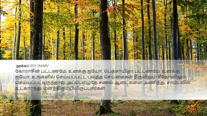 லூக்கா 10:13 TAMIRV Desktop Wallpaper - கோராசீன் பட்டணமே, - Desktop Bible Verse Wallpaper