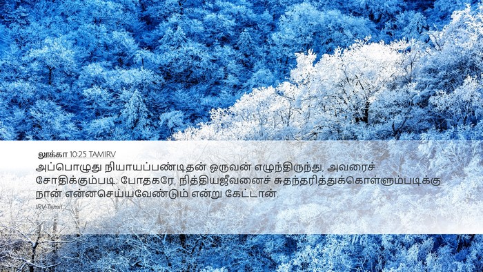 லூக்கா 10:25 TAMIRV Bible Verse Image