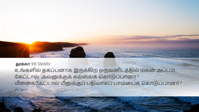 லூக்கா 11:11 TAMIRV Bible Verse Image
