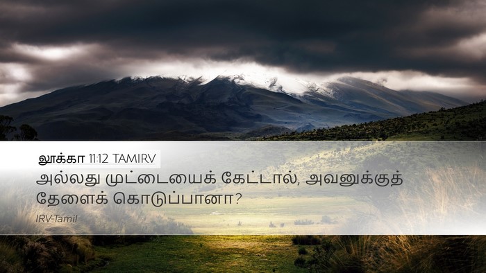 லூக்கா 11:12 TAMIRV Desktop Wallpaper - அல்லது முட்டையைக் - Desktop Bible Verse Wallpaper
