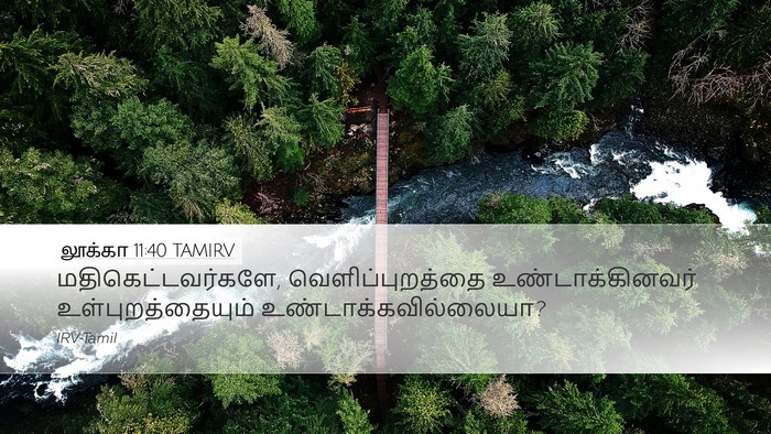 லூக்கா 11:40 TAMIRV Desktop Wallpaper - மதிகெட்டவர்களே, - Desktop Bible Verse Wallpaper