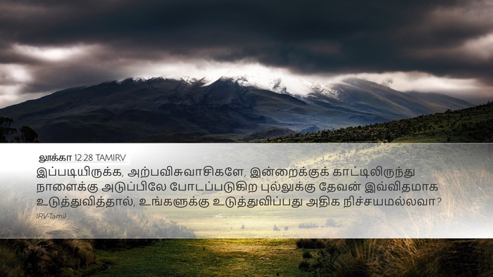 லூக்கா 12:28 TAMIRV Bible Verse Image