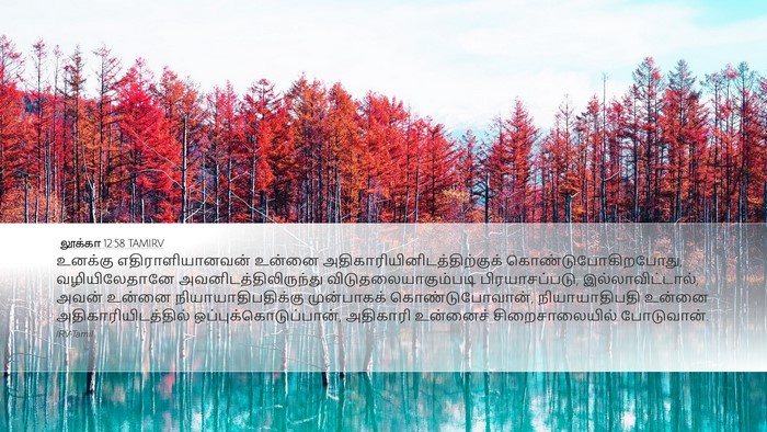 லூக்கா 12:58 TAMIRV Bible Verse Image