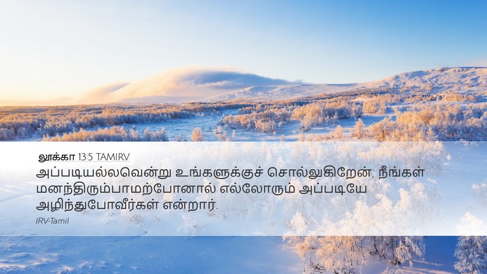 லூக்கா 13:5 TAMIRV Bible Verse Image