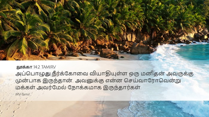 லூக்கா 14:2 TAMIRV Desktop Wallpaper - அப்பொழுது - Desktop Bible Verse Wallpaper