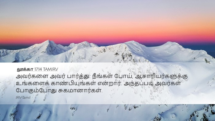 லூக்கா 17:14 TAMIRV Bible Verse Image