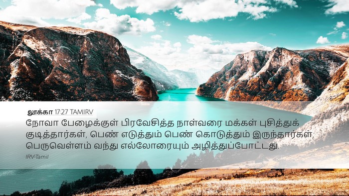 லூக்கா 17:27 TAMIRV Desktop Wallpaper - நோவா பேழைக்குள் - Desktop Bible Verse Wallpaper