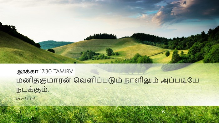 லூக்கா 17:30 TAMIRV Bible Verse Image