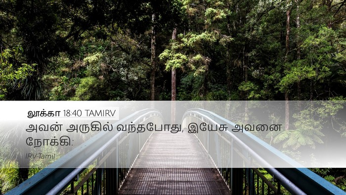 லூக்கா 18:40 TAMIRV Desktop Wallpaper - அவன் அருகில் - Desktop Bible Verse Wallpaper