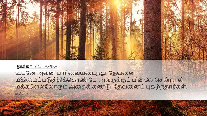 லூக்கா 18:43 TAMIRV Bible Verse Image