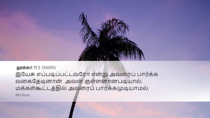 லூக்கா 19:3 TAMIRV Bible Verse Image