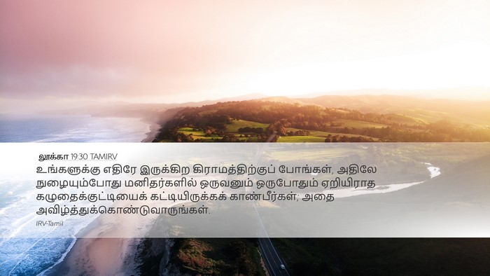 லூக்கா 19:30 TAMIRV Bible Verse Image