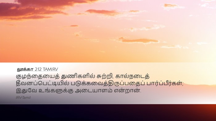 லூக்கா 2:12 TAMIRV Bible Verse Image