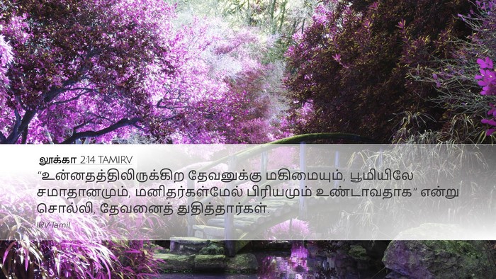 லூக்கா 2:14 TAMIRV Bible Verse Image
