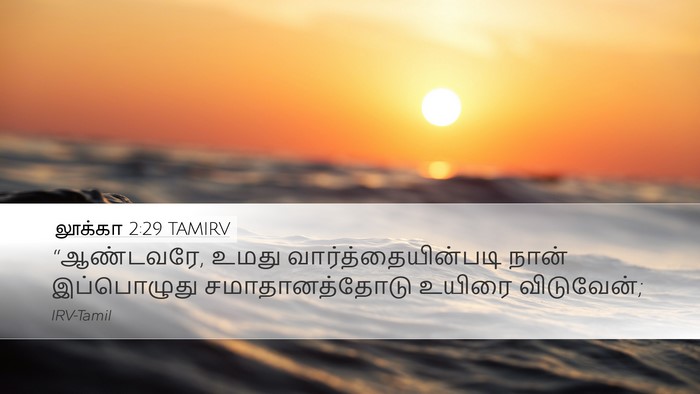 லூக்கா 2:29 TAMIRV Bible Verse Image