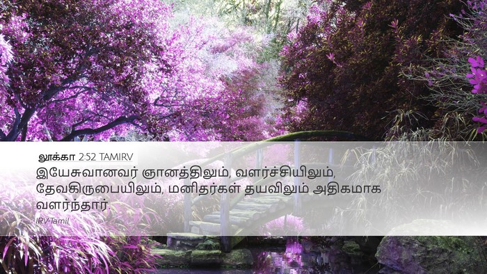 லூக்கா 2:52 TAMIRV Bible Verse Image