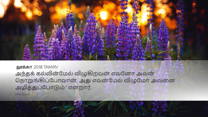லூக்கா 20:18 TAMIRV Desktop Wallpaper - அந்தக் - Desktop Bible Verse Wallpaper