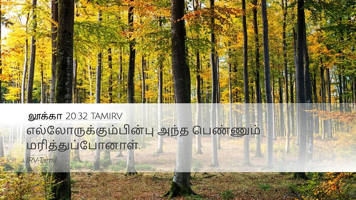 லூக்கா 20:32 TAMIRV Desktop Wallpaper -  - Desktop Bible Verse Wallpaper