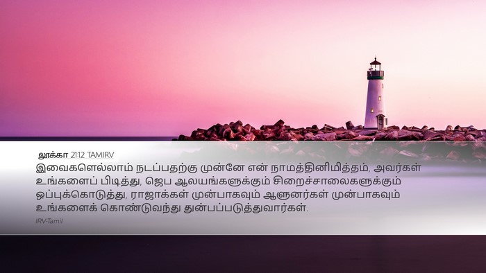 லூக்கா 21:12 TAMIRV Bible Verse Image