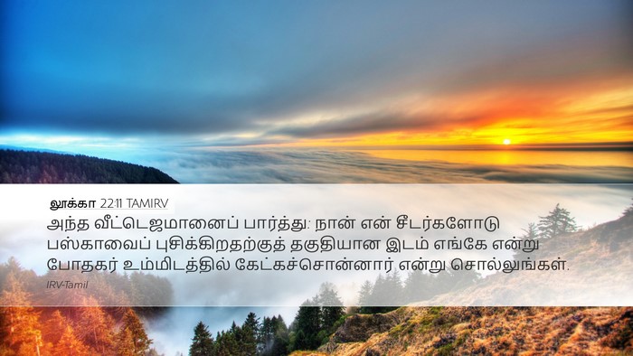 லூக்கா 22:11 TAMIRV Desktop Wallpaper - அந்த - Desktop Bible Verse Wallpaper