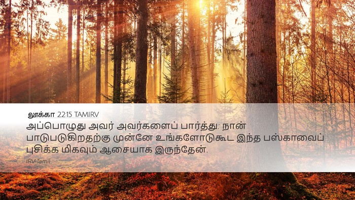 லூக்கா 22:15 TAMIRV Bible Verse Image