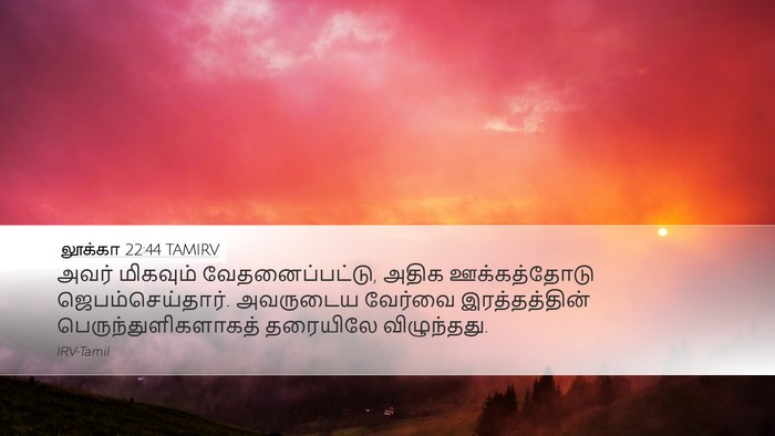 லூக்கா 22:44 TAMIRV Bible Verse Image