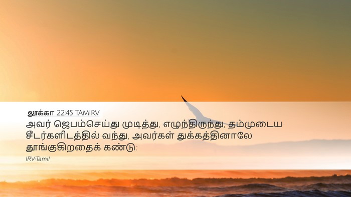 லூக்கா 22:45 TAMIRV Bible Verse Image