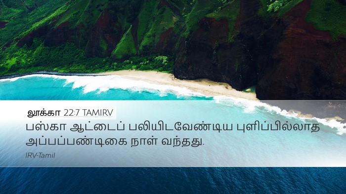 லூக்கா 22:7 TAMIRV Desktop Wallpaper - பஸ்கா ஆட்டைப் - Desktop Bible Verse Wallpaper