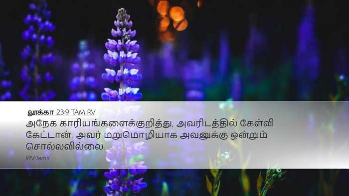 லூக்கா 23:9 TAMIRV Desktop Wallpaper - அநேக - Desktop Bible Verse Wallpaper