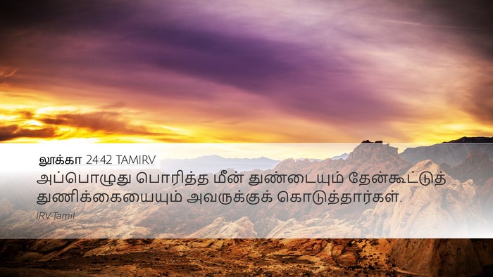 லூக்கா 24:42 TAMIRV Desktop Wallpaper - அப்பொழுது பொரித்த - Desktop Bible Verse Wallpaper