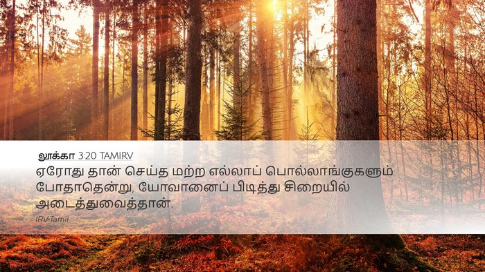 லூக்கா 3:20 TAMIRV Desktop Wallpaper - ஏரோது தான் செய்த - Desktop Bible Verse Wallpaper