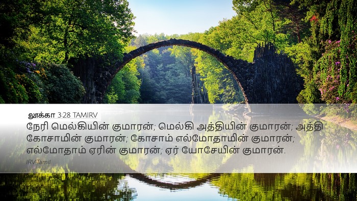 லூக்கா 3:28 TAMIRV Desktop Wallpaper - நேரி மெல்கியின் - Desktop Bible Verse Wallpaper